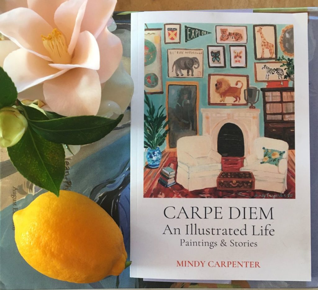 Carpe Diem An Illustrated Life, by Mindy Carpenter. image of book cover